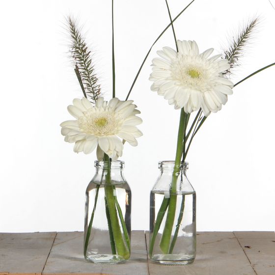 Mini Glasfläschen-Vase